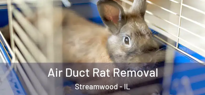  Air Duct Rat Removal Streamwood - IL
