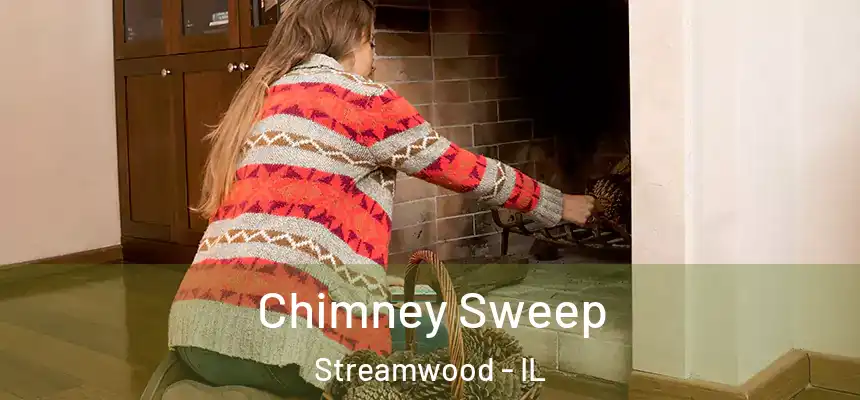  Chimney Sweep Streamwood - IL