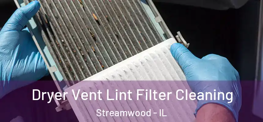  Dryer Vent Lint Filter Cleaning Streamwood - IL