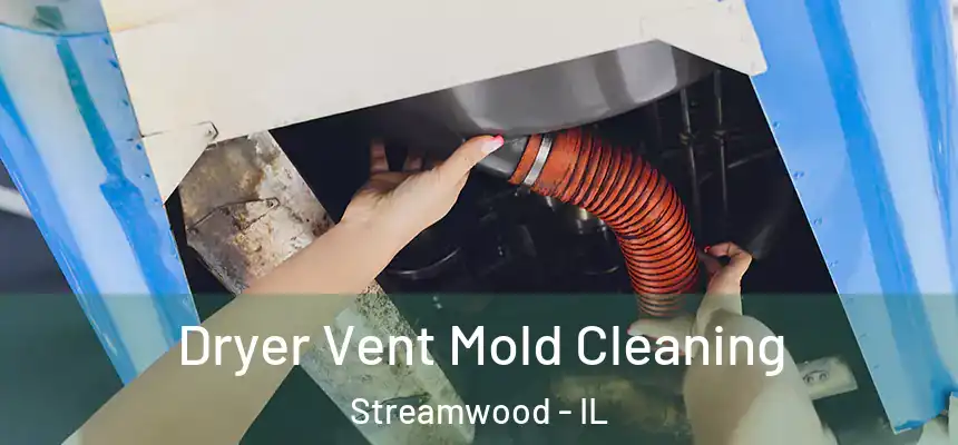  Dryer Vent Mold Cleaning Streamwood - IL