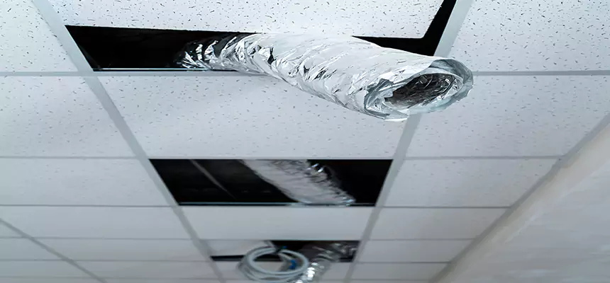 Our Air Duct Pet Hair Removal Services in Streamwood, IL