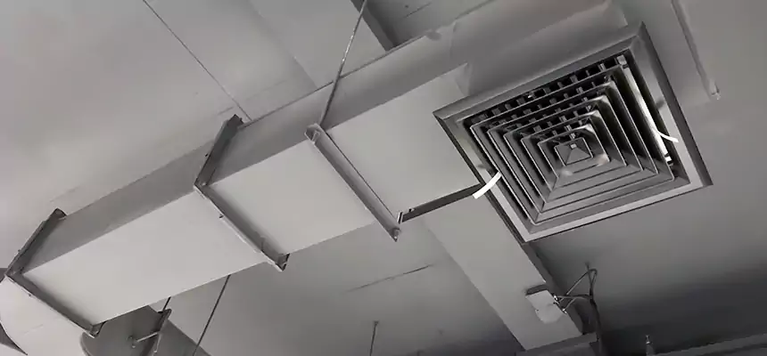 Restorative Allergy Relief Vent Cleaning – Coil, Blower & Housing Detail in Streamwood