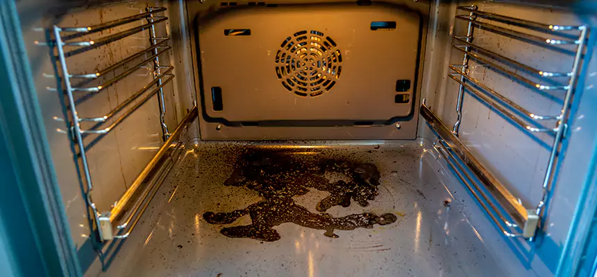 Our Dryer Vent Mold Cleaning Services in Streamwood, IL