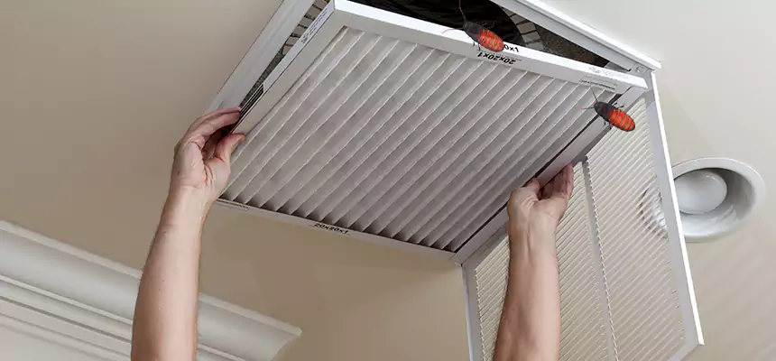 Our Insect Removal from Air Ducts Services in Streamwood, IL