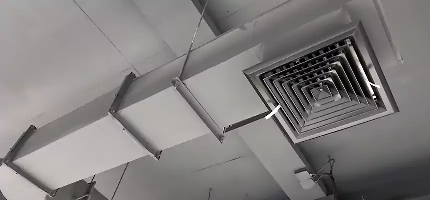 Our Pest Removal From Ducts Services in Streamwood, IL