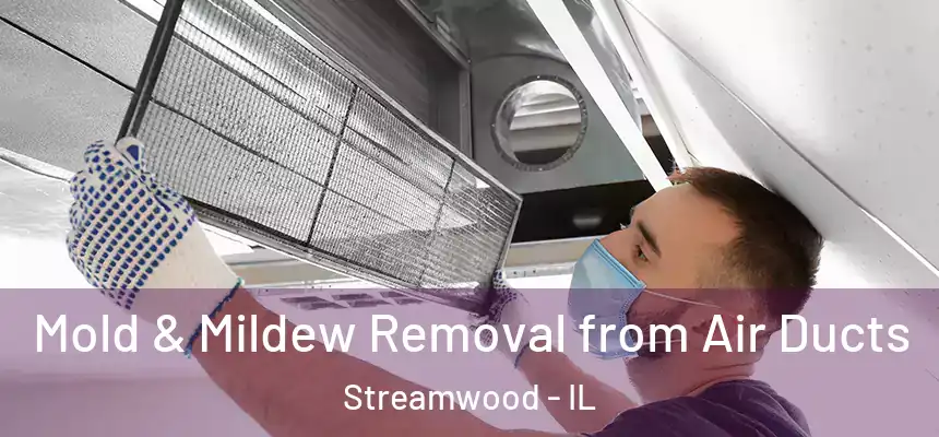  Mold & Mildew Removal from Air Ducts Streamwood - IL
