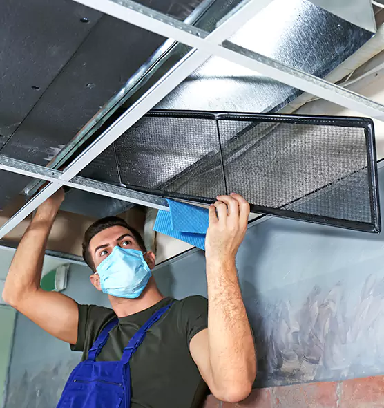 About Air Duct Bacteria Removal in Streamwood